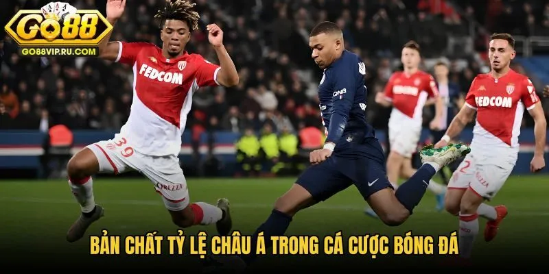 ban-chat-ty-le-chau-a-trong-ca-cuoc-bong-da ban-chat-ty-le-chau-a-trong-ca-cuoc-bong-da