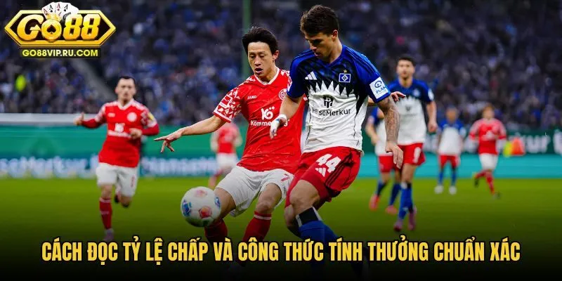 cach-doc-ty-le-chap-va-cong-thuc-tinh-thuong-chuan-xac cach-doc-ty-le-chap-va-cong-thuc-tinh-thuong-chuan-xac