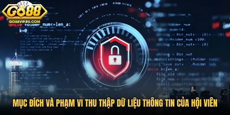 muc-dich-va-pham-vi-thu-thap-du-lieu-thong-tin-cua-hoi-vien muc-dich-va-pham-vi-thu-thap-du-lieu-thong-tin-cua-hoi-vien